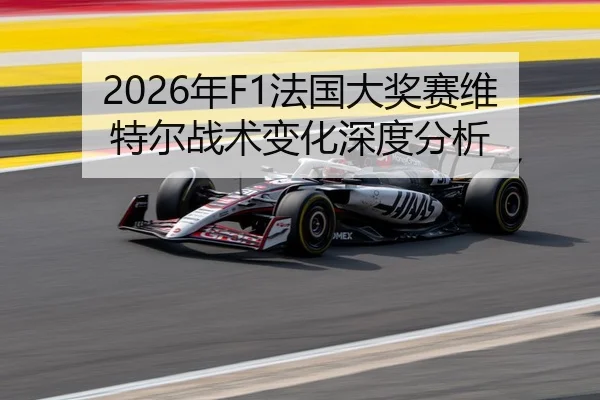 2026年F1法国大奖赛维特尔战术变化深度分析