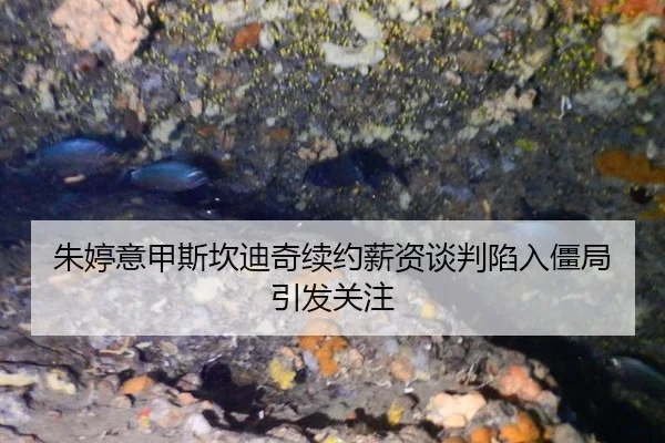 朱婷意甲斯坎迪奇续约薪资谈判陷入僵局引发关注